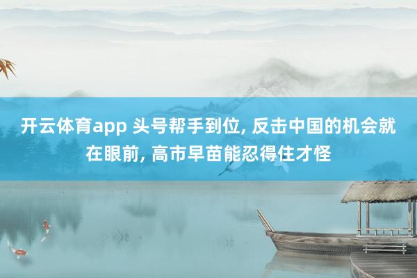 开云体育app 头号帮手到位, 反击中国的机会就在眼前, 高市早苗能忍得住才怪
