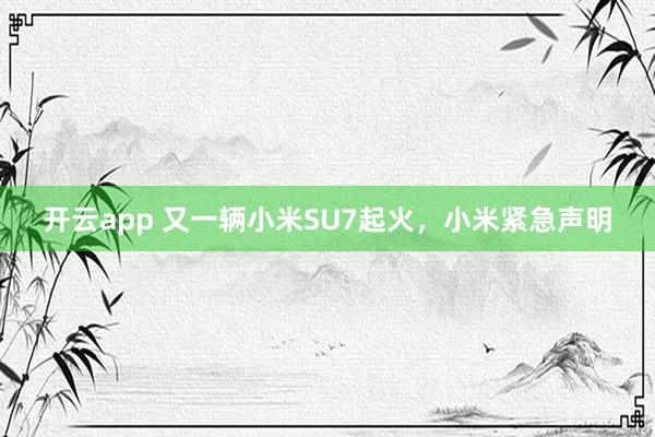 开云app 又一辆小米SU7起火，小米紧急声明