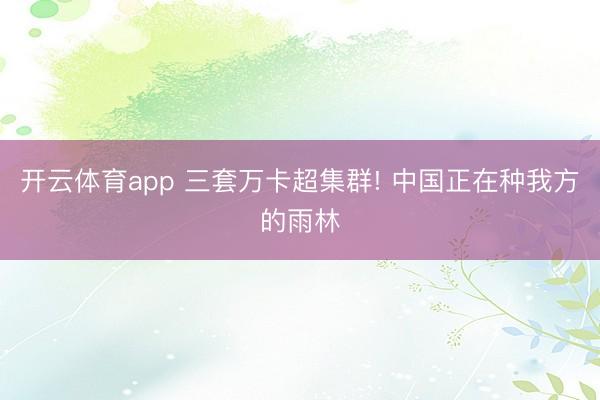 开云体育app 三套万卡超集群! 中国正在种我方的雨林