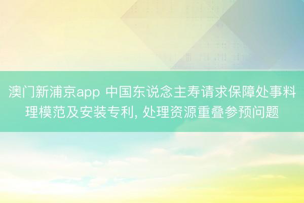 澳门新浦京app 中国东说念主寿请求保障处事料理模范及安装专利, 处理资源重叠参预问题